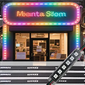 DC24V Intelligent Control Outdoor Waterproof RGB LED Module Light